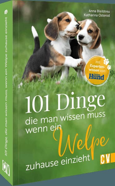 101 Dinge, die man wissen muss, wenn ein Welpe zuhause einzieht