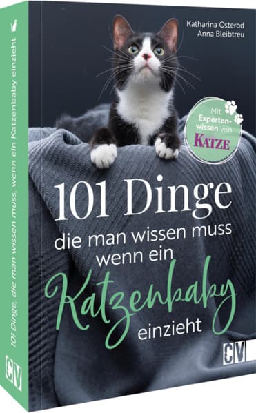 101 Dinge, die man wissen muss, wenn ein Katzenbaby einzieht