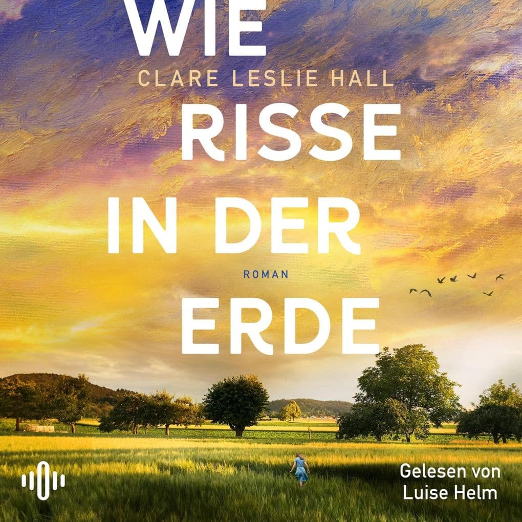 Wie Risse in der Erde