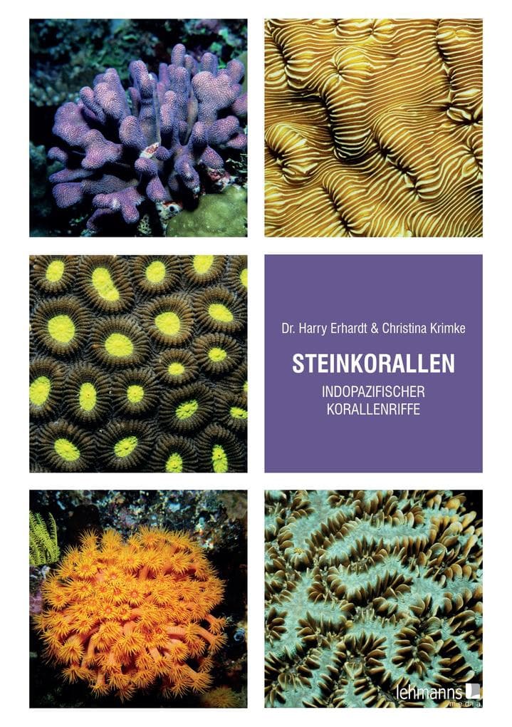 Steinkorallen indopazifischer Korallenriffe