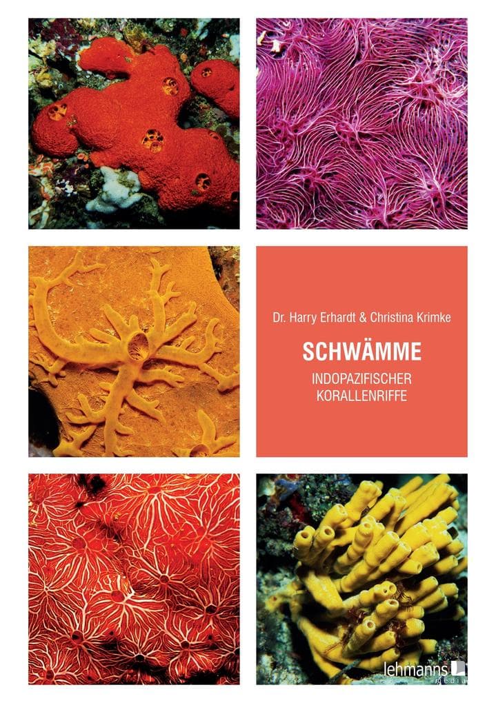 Schwämme indopazifischer Korallenriffe