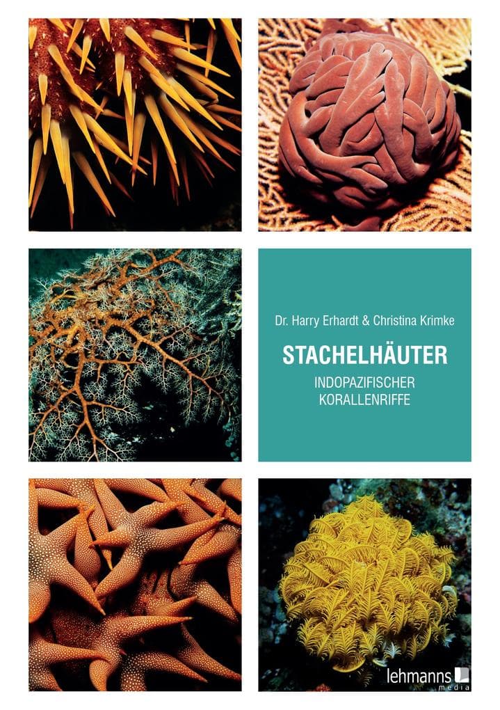 Stachelhäuter indopazifischer Korallenriffe