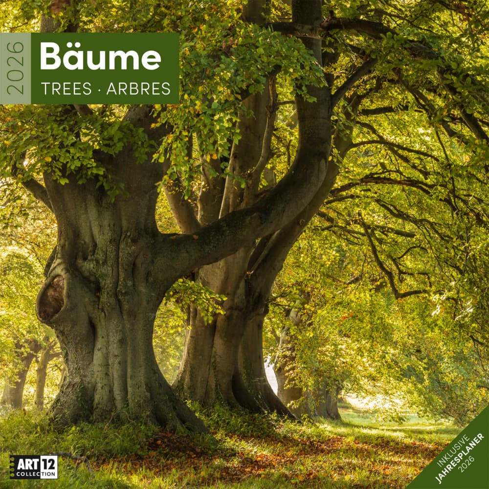 Bäume Broschürenkalender 2026 - 30x30 - Art12