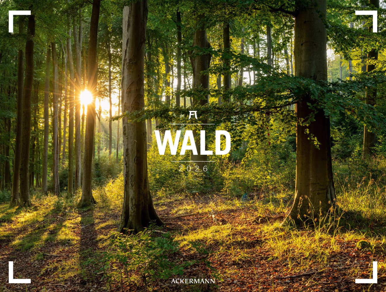 Wald Gallery Kalender 2026