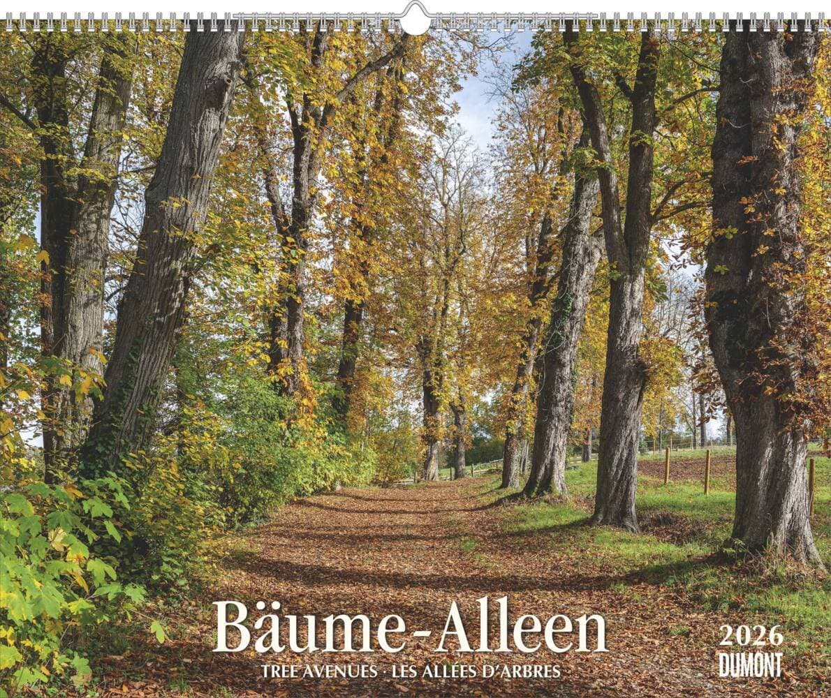 DUMONT - Bäume - Alleen 2026 - Wandkalender 52 x 43 cm, Naturkalender mit Spiralbindung und Feiertagen für D/A/CH