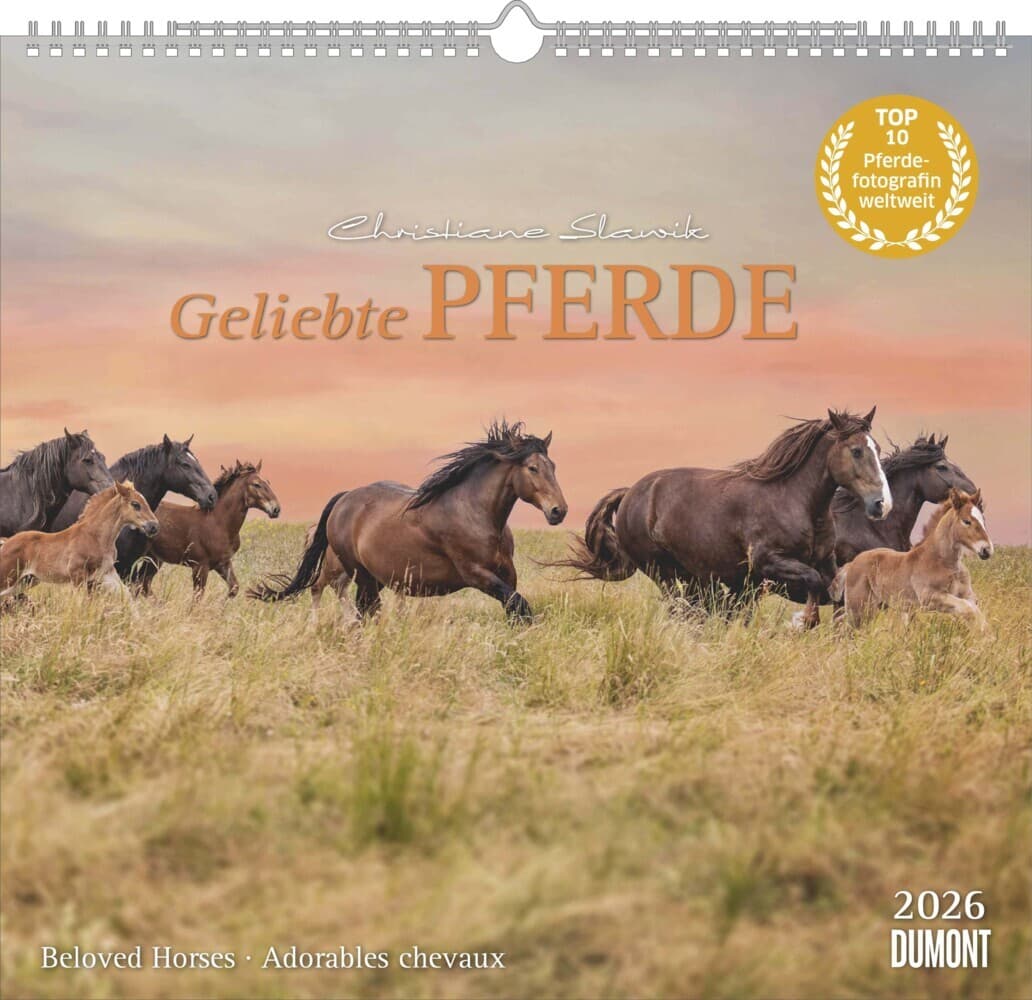 DUMONT - Geliebte Pferde 2026 - Wandkalender 38 x 36 cm - Pferdefotografie von Christiane Slawik für Pferdeliebhaber