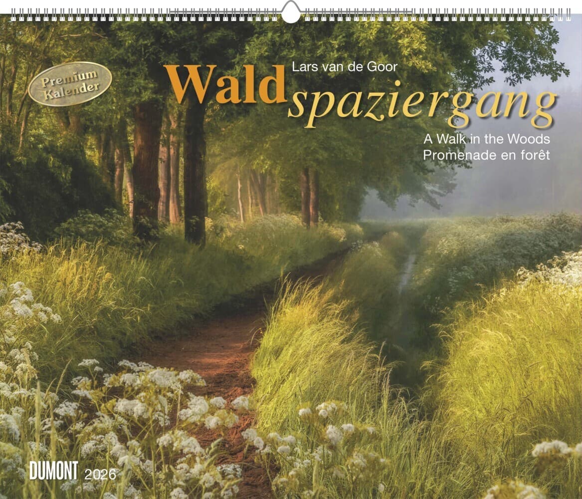 DUMONT - Waldspaziergang 2026 - Fotokunst-Kalender Querformat 60 x 50 cm - Naturfotografie von Lars van de Goor für Wald- & Naturfreunde