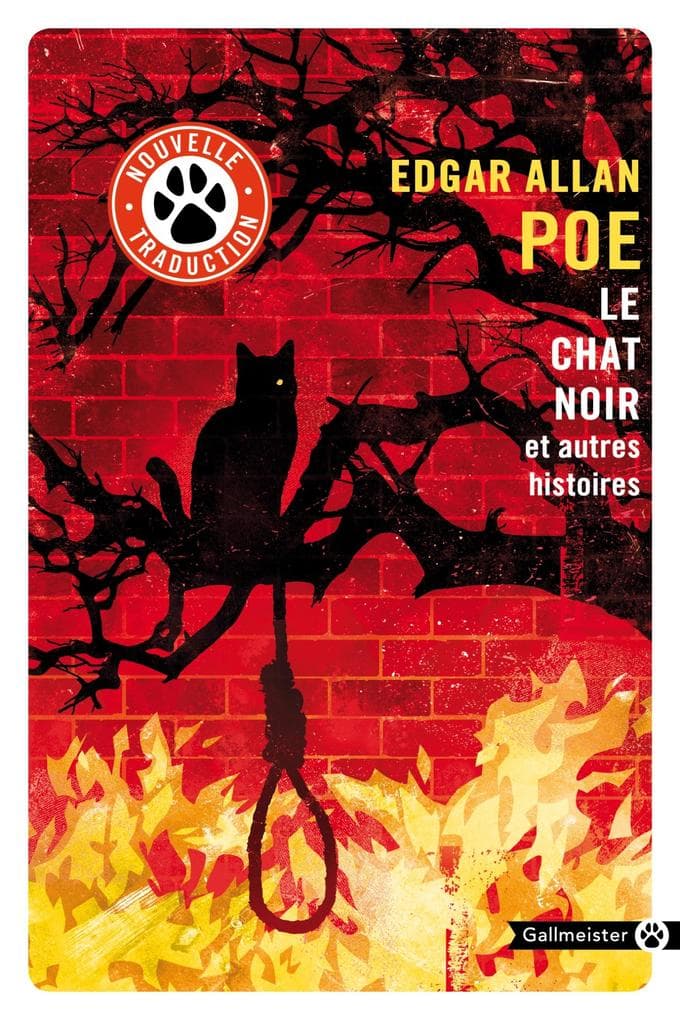 Le chat noir et autres histoires