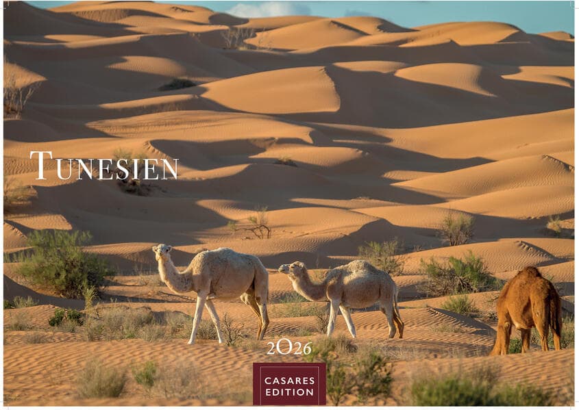 Tunesien Kalender 2026 - Wandkalender | Fotokalender Afrika 24x35 cm: Hochwertige Fotos, die die Kultur, Landschaften und Sehenswürdigkeiten Tunesiens zeigen.