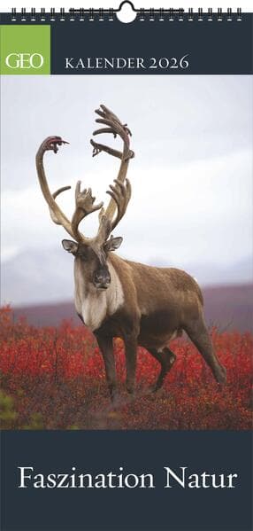 GEO - Faszination Natur 2026 - Wandkalender 22x45 cm, 12 Monatsblätter mit hochwertigen Naturfotografien, deutsches Kalendarium & Spiralbindung