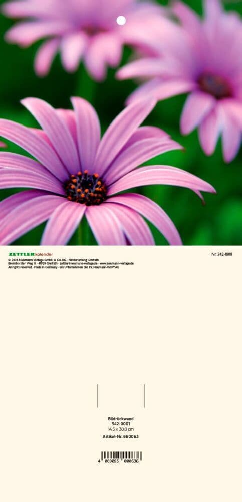 ZETTLER Bildrückwände für Typ 301 und 302 Blumen sortiert