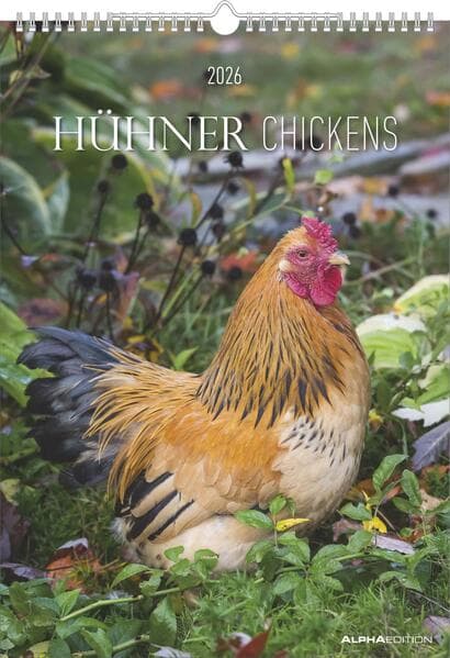 Alpha Edition - Hühner 2026 - Wandkalender A3 (30×42 cm) mit 12 liebevollen Fotografien verschiedener Hühnerrassen, dekorativer Bauernhof-Kalender für Tierliebhaber, Hobby-Bauern & Landleben-Fans