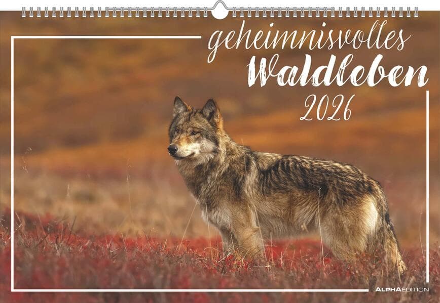 Alpha Edition - Geheimnisvolles Waldleben Kalender 2026 - Bildkalender 49,5x33 cm - Tiere & Pflanzen in heimischen Wäldern - Für Tier- und Naturfreunde - Sprachneutrales Kalendarium