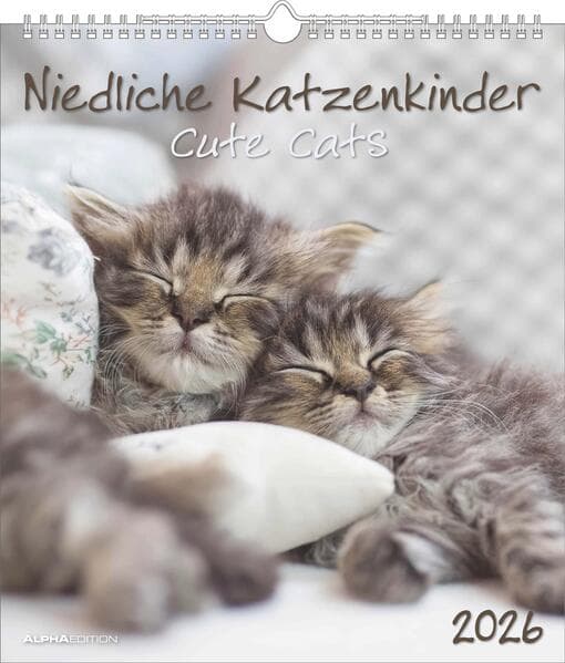 Alpha Edition - Niedliche Katzenkinder 2026 - Wandkalender 30×34 cm mit 12 Katzenbaby-Motiven & Monatsübersicht, dekorativer Tierkalender & Geschenk für Katzenliebhaber
