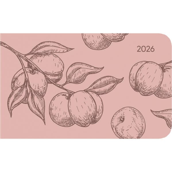 Alpha Edition - Ladytimer TO GO Deluxe Salmon 2026 - Taschenkalender 15x9 cm - Weekly - hochwertiger Planer mit Tucson-Einband & Motivprägung - 128 Seiten - kompakter Terminplaner für unterwegs