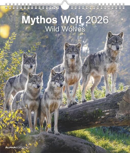 Alpha Edition - Mythos Wolf 2026 - Wandkalender 30×34 cm mit 12 faszinierenden Wolfsfotografien, 4-sprachiger Fotokalender für Naturfreunde, Tierliebhaber & Wildnis-Fans