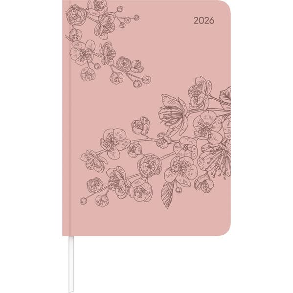 Alpha Edition - Lady Journal Grande Deluxe Salmon 2026 - Taschenkalender A5 (15×21 cm) mit 128 Seiten & Tucson-Einband mit Motivprägung, Weekly-Planer mit Bucket List