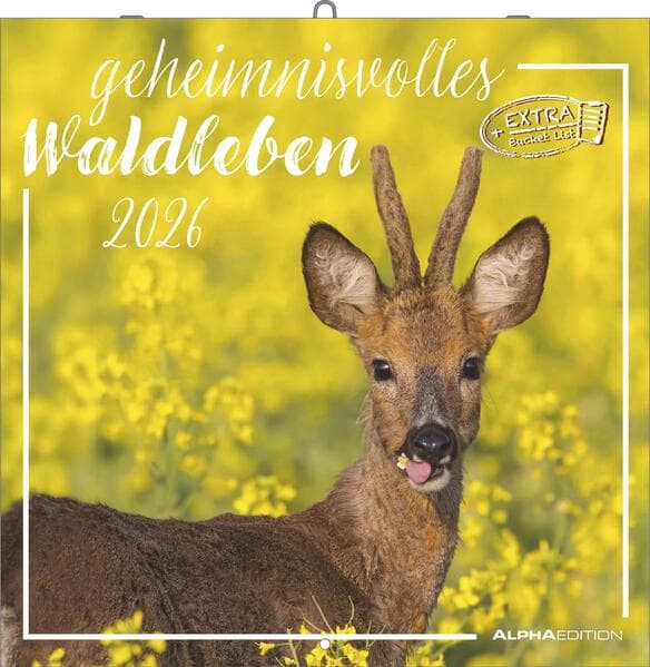 Alpha Edition - Geheimnisvolles Waldleben Kalender 2026 - Wandkalender 30x30 cm - Für Naturliebhaber - 12 beeindruckende Waldtier-Fotografien, viel Platz für Notizen, mit Feiertagen & Ferienterminen