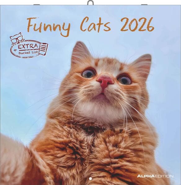 Alpha Edition - Funny Cats Kalender 2026 - Wandkalender 30x30 cm - Lustiger Katzenkalender für Katzenliebhaber - 12 witzige Katzenfotografien, viel Platz für Notizen, mit Feiertagen & Ferienterminen