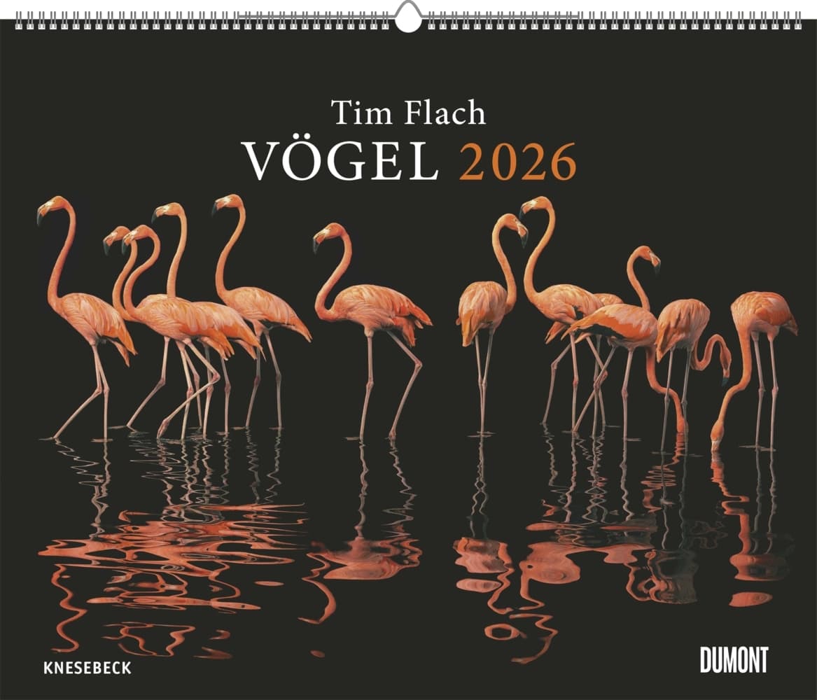 DUMONT - Tim Flach: Vögel 2026 - Posterkalender 60 x 50 cm - Faszinierende Vogel-Porträts für Tierfreunde & Fotografie-Liebhaber