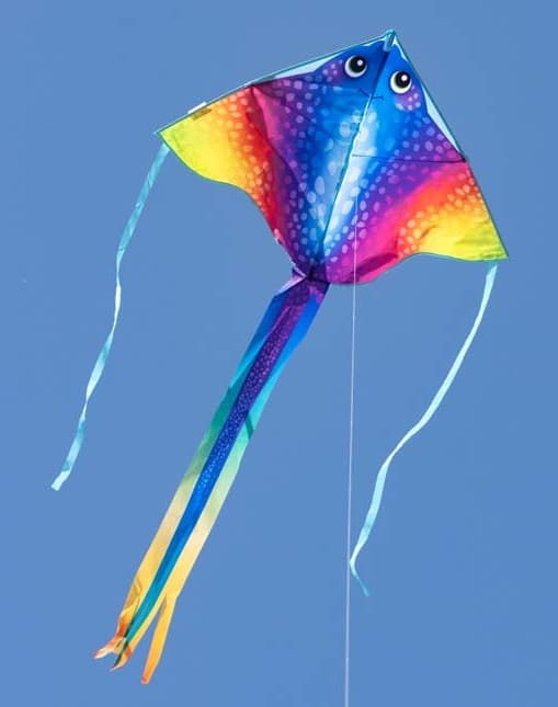 Ecoline 102002 - Ecoline: Simple Flyer Manta, 120x75cm, Drachen/Kinderdrachen