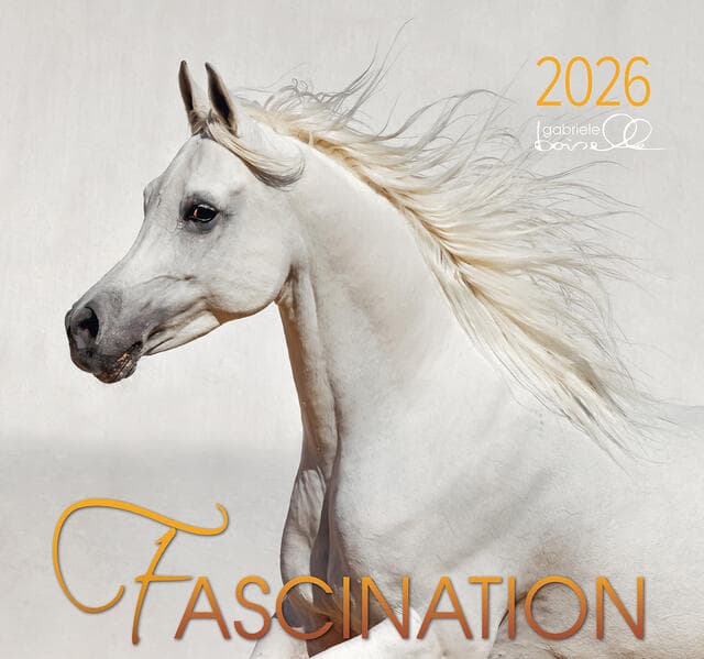Fascination 2026