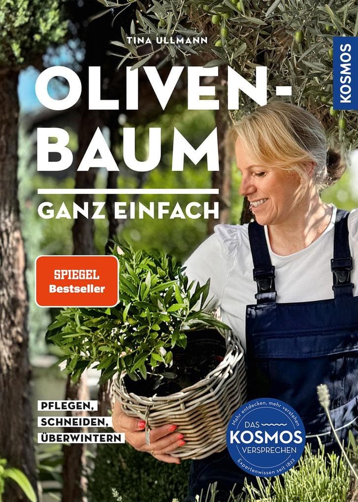 Olivenbaum ganz einfach