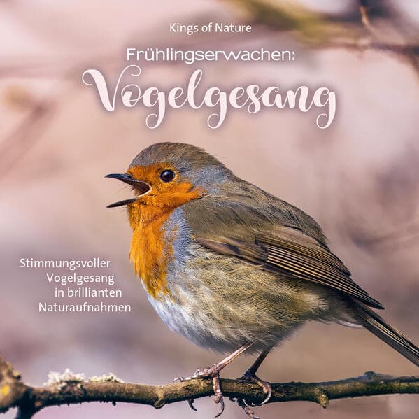 Frühlingserwachen: Vogelgesang