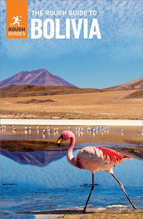 The Rough Guide to Bolivia: Travel Guide eBook