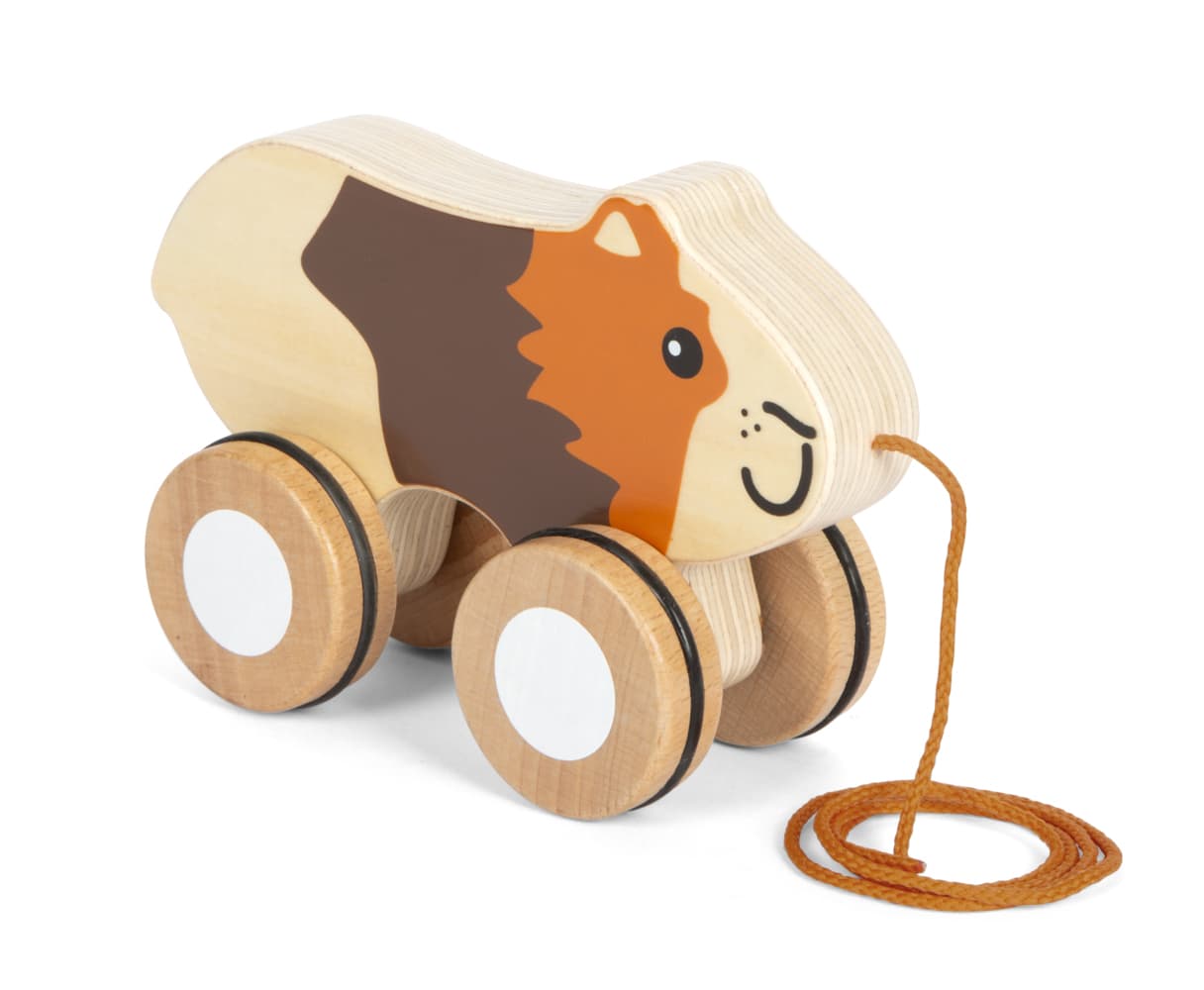 Nachziehtier Meerschweinchen