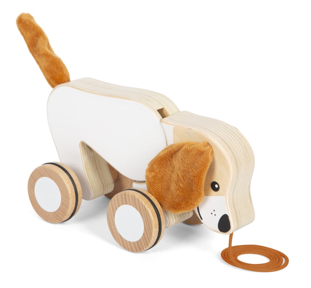 Nachziehtier Hund mit Knisterohren