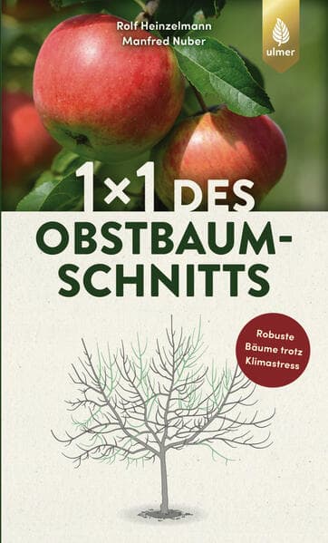1 x 1 des Obstbaumschnitts