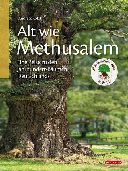 Alt wie Methusalem - Eine Reise zu den Jahrhundert-Bäumen Deutschlands