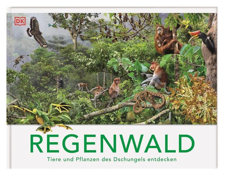 Regenwald
