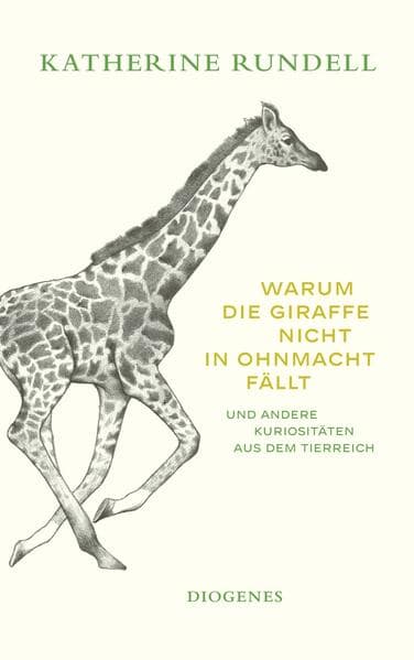 Warum die Giraffe nicht in Ohnmacht fällt