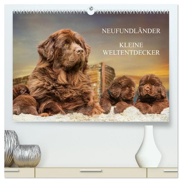 Neufundländer - Kleine Weltentdecker (hochwertiger Premium Wandkalender 2026 DIN A2 quer), Kunstdruck in Hochglanz