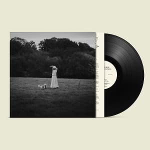 On The Wing (Ltd. LP)