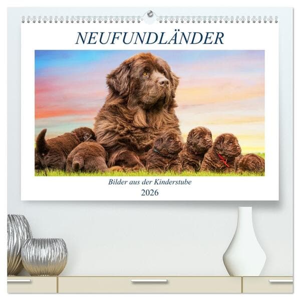 Neufundländer - Bilder aus der Kinderstube (hochwertiger Premium Wandkalender 2026 DIN A2 quer), Kunstdruck in Hochglanz