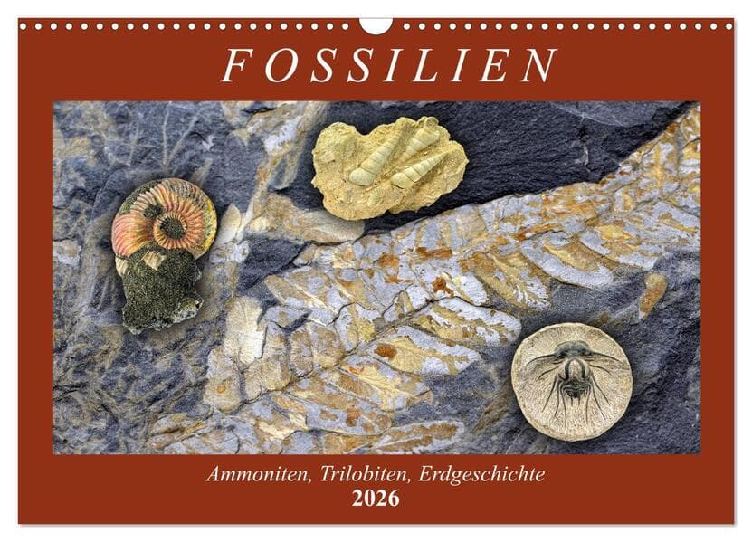 Fossilien - Ammoniten, Trilobiten, Erdgeschichte (Wandkalender 2026 DIN A3 quer), CALVENDO Monatskalender