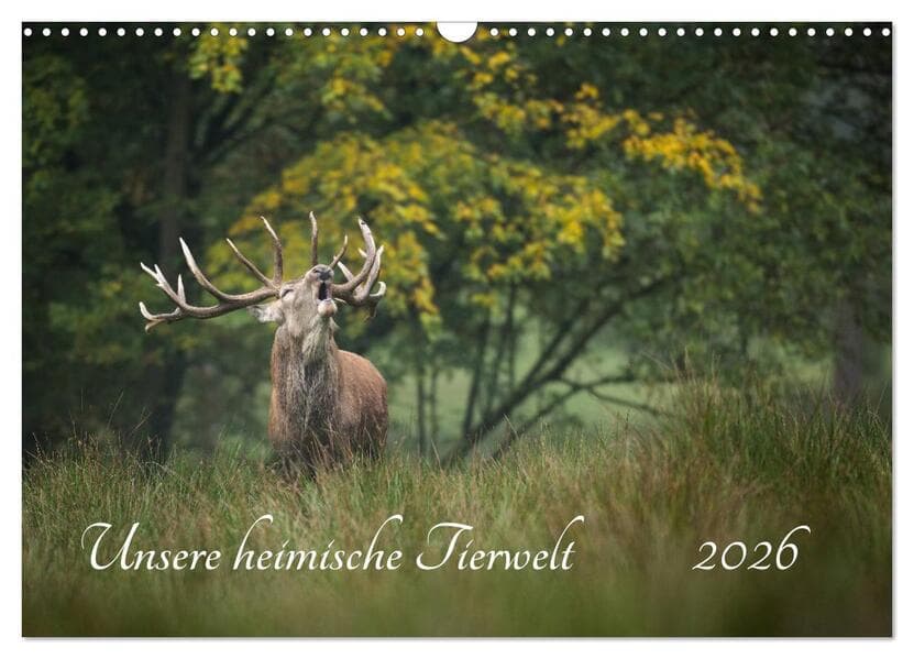 Unsere heimische Tierwelt (Wandkalender 2026 DIN A3 quer), CALVENDO Monatskalender