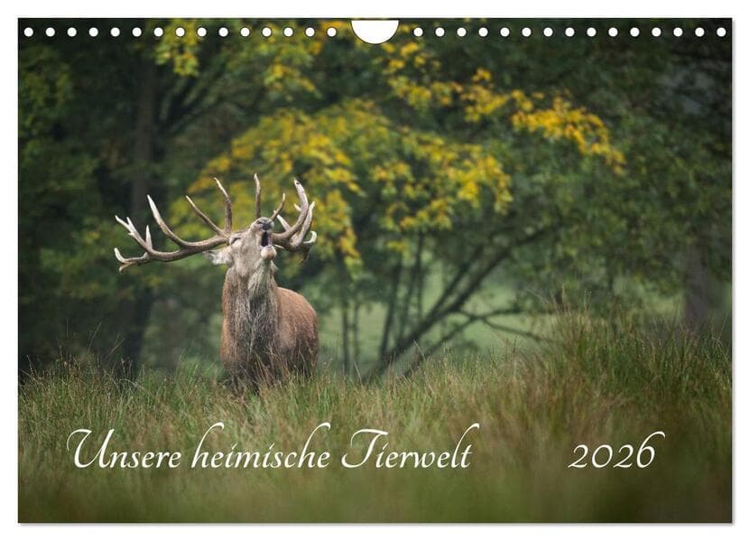 Unsere heimische Tierwelt (Wandkalender 2026 DIN A4 quer), CALVENDO Monatskalender