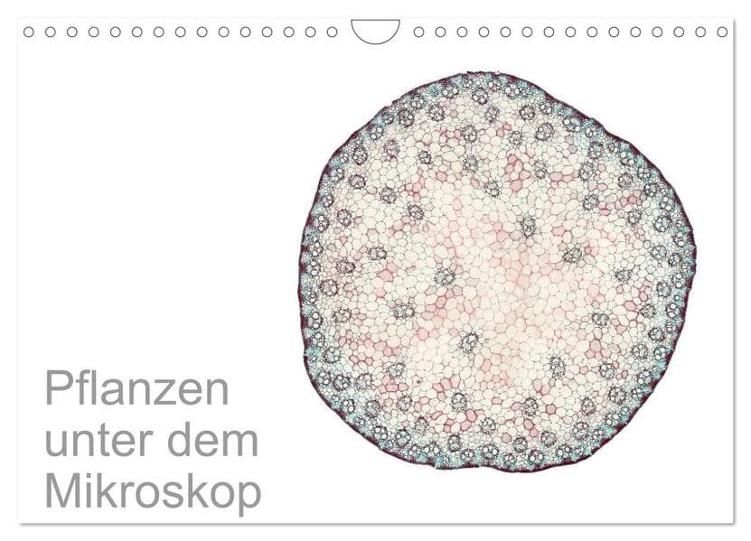 Pflanzen unter dem Mikroskop (Wandkalender 2026 DIN A4 quer), CALVENDO Monatskalender