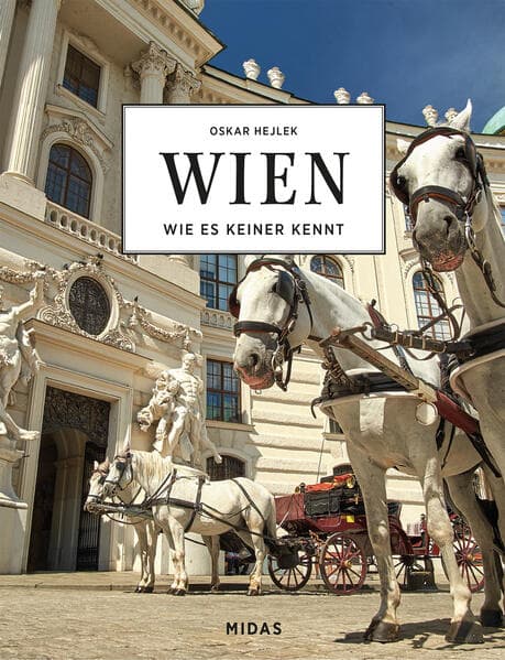 WIEN - Wie es keiner kennt
