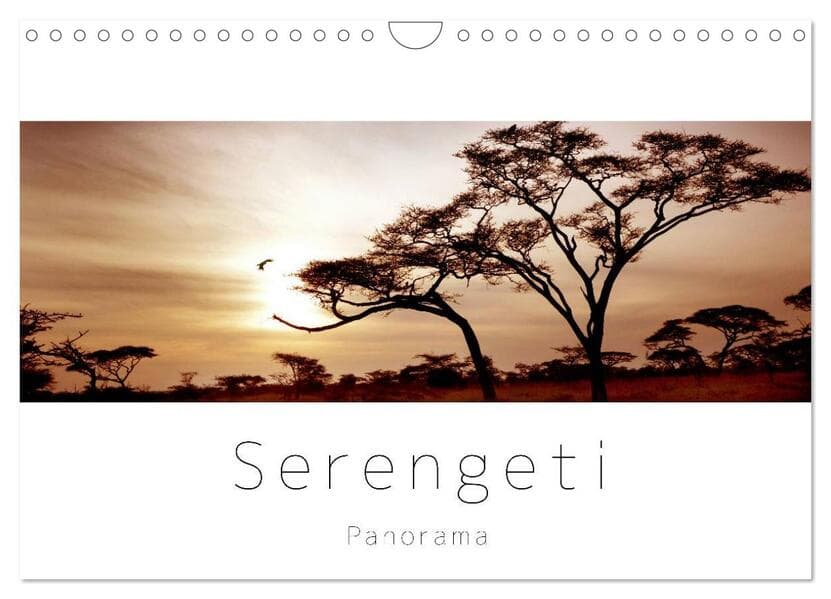 Serengeti Panorama (Wandkalender 2026 DIN A4 quer), CALVENDO Monatskalender