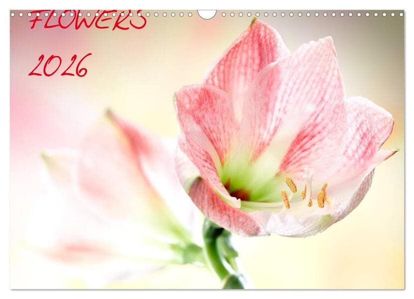 Flowers / 2026 (Wandkalender 2026 DIN A3 quer), CALVENDO Monatskalender