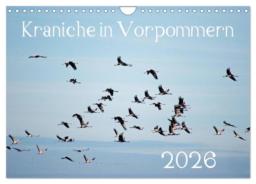 Kraniche in Vorpommern (Wandkalender 2026 DIN A4 quer), CALVENDO Monatskalender
