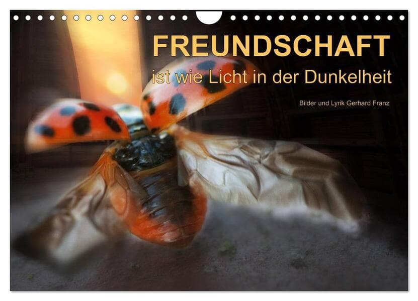 Freundschaft (Wandkalender 2026 DIN A4 quer), CALVENDO Monatskalender