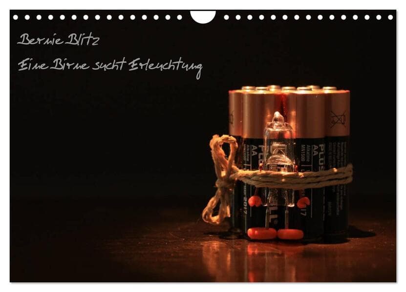 Bernie Blitz - Eine Birne sucht Erleuchtung (Wandkalender 2026 DIN A4 quer), CALVENDO Monatskalender