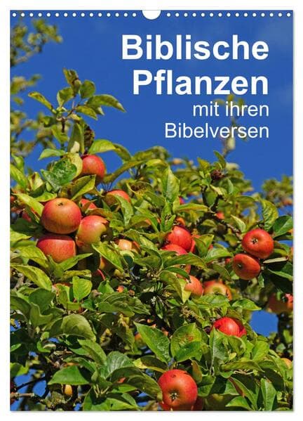 Biblische Pflanzen mit ihren Bibelversen (Wandkalender 2026 DIN A3 hoch), CALVENDO Monatskalender