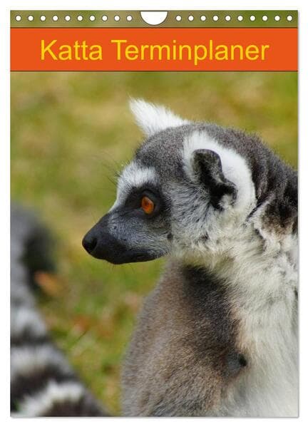 Katta Terminplaner (Wandkalender 2026 DIN A4 hoch), CALVENDO Monatskalender